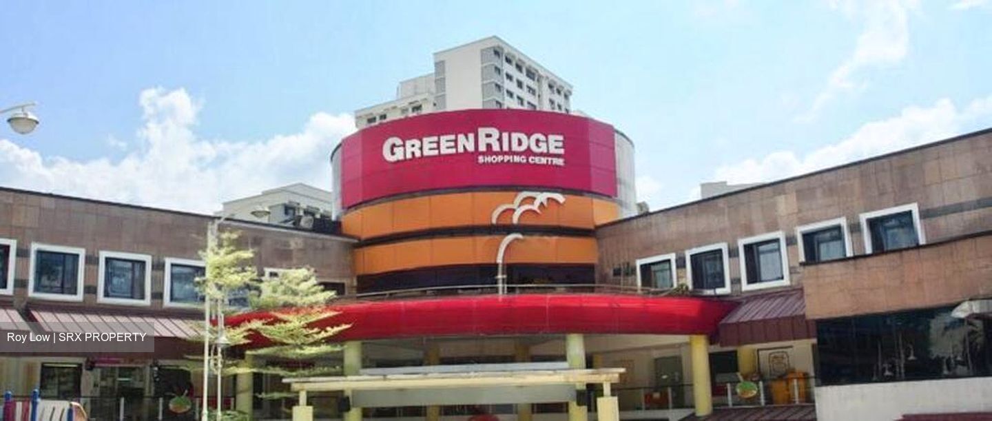 Blk 505 Jelapang Road (Bukit Panjang), HDB 4 Rooms #514835051